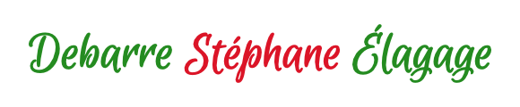 Logo, DEBARRE Stéphane, élagage et abatage d'arbres à Allonnes